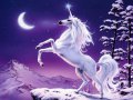 Unicorn Wallpaper.jpg